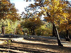 Autumn of 2008 in Southern California