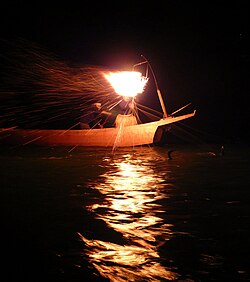 Cormorant fishing on the Nagara River