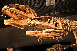 Mapusaurus, a carcharodontosaurid