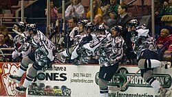 Players from the South Carolina Stingrays perform a line change. A line change is a substitution of an entire line at once.