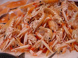 A heap of small pink lobsters on their sides, with their claws extended forwards towards the camera.
