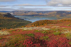 Arctic vegetation in autumn displays some of the most intense and vivid colors seen on Earth (Lake Seydozero, Murmansk Oblast, Russia)