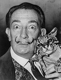 Spanish Surrealist painter Salvador Dalí was chosen as the heist team's mask design.