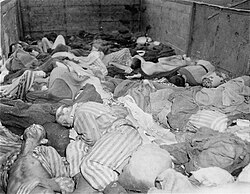 The Dachau death train consisted of nearly forty railcars containing the bodies of between 2,000 and 3,000 prisoners who were evacuated from Buchenwald on 7 April 1945.