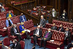 Stirrup speaking in a House of Lords debate.