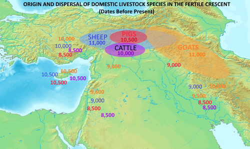 Origin and dispersal of domestic livestock species in the Fertile Crescent (dates Before Present).[36]