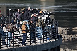 Photographers at Maryland's Conowingo Dam, a popular winter location for seeing bald eagles.