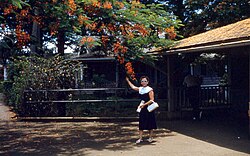 Waipahu Post Office, 1959