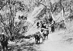 The Punjab Regiment using mules for transporting cargo in Burma during World War II. Animals have been used for logistical transport throughout history; the Roman army preferred mules over donkeys for cargo transport.[22]