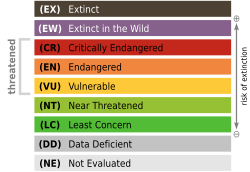 Red list categories of the IUCN