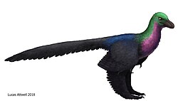 Caihong