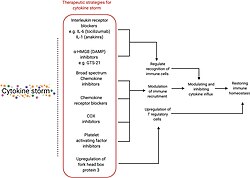 Various therapeutic strategies for targeting cytokine storm