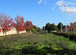 An abandoned section of the original SF&NP right-of-way from Petaluma to Donahue Landing as seen in 2019