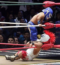 Mexican midget wrestlers Microman (in blue) and Zacarías el Perico during a match