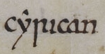Cyrican is an Old English word for churches and church property