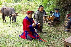 Cattle sacrifice ceremony in Miao folk religion