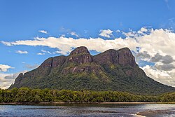 Amazon rainforest and Autana River, Amazonas state