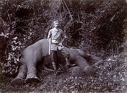 Franz Ferdinand posing in front of a killed elephant, 1893