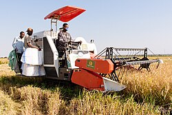Farmers using a rice harvester in Igunga District, Tanzania
