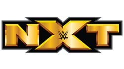 NXT's third logo used from 2014 to 2017