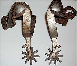 The team's name derives from a spur, a metal tool designed to be worn on the heels of cowboy boots for the purpose of controlling a horse's movement and direction.