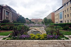 Henry Mall is surrounded by departments of the College of Agricultural and Life Sciences.