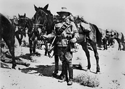 Lighthorseman, horse, and their equipment