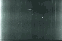 Rare Korean War F-86 gun-camera footage of a MiG-15 shoot-down over Korea