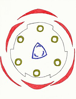 From centre outwards: Trilocular ovary, 6 stamens, corona, perianth