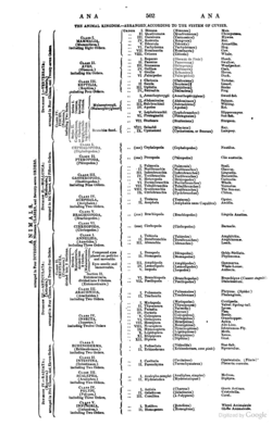 Table of the Animal Kingdom based on Cuvier's Règne Animal in the Penny Cyclopaedia, 1828