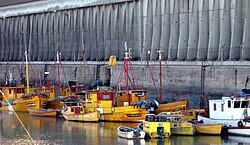 Port of Ingeniero White, Bahía Blanca