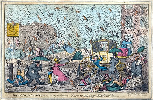 1835 etching by George Cruikshank illustrating the metaphor of describing strong weather as "raining cats, dogs and pitchforks"