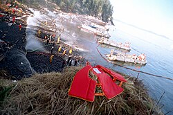Clean-up efforts after the Exxon Valdez oil spill.