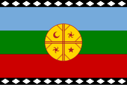 Wenufoye flag created in 1992 by the Indigenist organization "Consejo de Todas las Tierras".