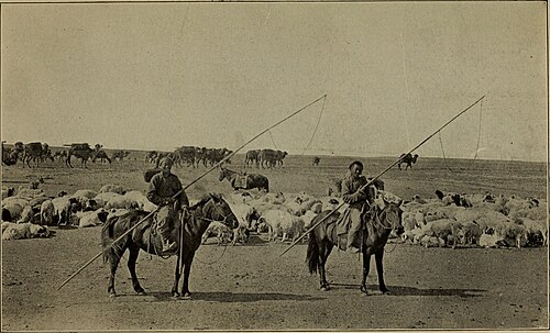 Mongols grazing livestock, by Roy Chapman Andrews photographs in 1921