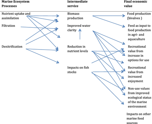Economic value of bivalve nutrient extraction, linking processes to services to economic values.[111]