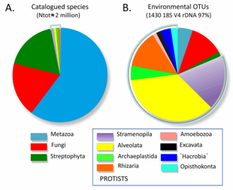 Difference between catalogued species (A) and genetic diversity (B) of eukaryotes. In the legend, "Archaeplastida" and "Opisthokonta" exclude Streptophyta, Animalia and Fungi.[97]