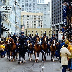 Mounted police during New Orleans Mardi Gras 1984