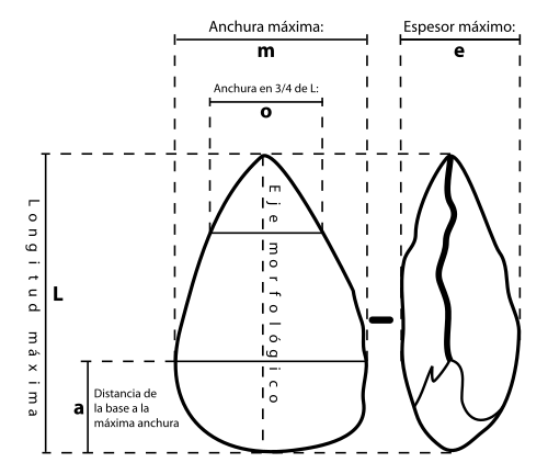 Basic dimensions to be measured on an Acheulean hand axe.