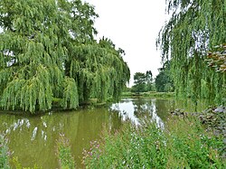 The lake at the manor house