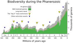 During the Phanerozoic, biodiversity shows an overall but not monotonic increase from near zero to several thousands of genera