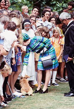 Patting a dog in New Zealand, 1974