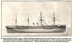 An 1890s cattle ship from America