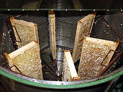 Honey Extractor