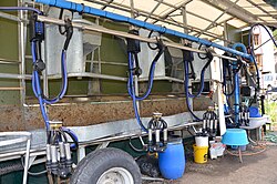Mobile Milking Parlor from DeLaval