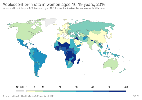 The adolescent birth rate in women aged 10–19 years, 2016[256]