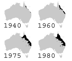 Cane toad (introduced into Australia 1935) spread from 1940 to 1980: it was ineffective as a control agent. Its distribution has continued to widen since 1980.