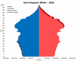 Non-Hispanic White population pyramid in 2020