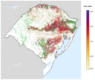 Map of Rio Grande do Sul showing tree-cover loss years, with forest remaining since 2000 in green and loss years shaded yellow through purple.