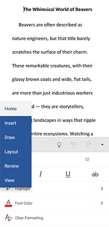 Word on an Android device